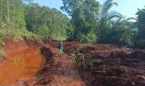 CV Warsita dan PT MBN Telah Bangun Tanggul di Mondowe, BPBD Morut Jamin tak Banjir Lagi