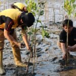 HUT Humas Polri ke-72, Polres Palopo Tanam Mangrove Sebagai Wujud Peduli Lingkungan