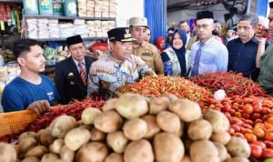 Harga Naik Lagi, Pj Gubernur Sulsel Kembali Ingatkan ASN Tentang Imbauan Tanam Cabai