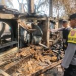 Korsleting Listrik, Ribuan Ayam Mati Terpanggang