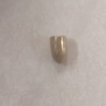 Peluru Nyasar Tembus Atap Rumah Warga di Palopo, Polisi Lakukan Investigasi