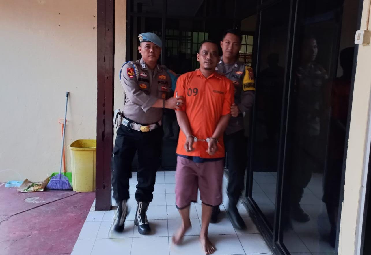 Pencuri Ratusan Buah Nanas di Pringsewu Ditangkap Polisi