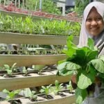 Co Founder Garis Kebun: Wujudkan Kemandirian Pangan melalui Gerakan Berkebun dari Rumah
