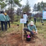 Rehabilitasi DAS di Tana Toraja, PT Vale Tanam 424 Ribu Bibit Pohon