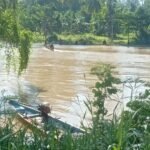 Nelayan di Onepute Morut Hilang di Sungai Laa Saat Cari Kerang Meti