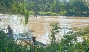Nelayan di Onepute Morut Hilang di Sungai Laa Saat Cari Kerang Meti