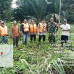 WAMAS Ajak Forkopimcam Mengitari Sungai Asahan dan Nantalu, Awaluddin : Muara Nantalu telah Menjadi Daratan