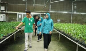 Pj Ketua TP-PKK Provinsi Sumatera Utara Bersama Ketua TP PKK Asahan Kunjungi PT. Hijau Surya Biotechindo