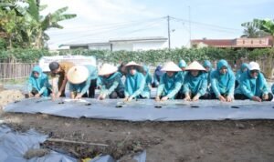 TP-PKK Kabupaten Asahan Ikut Gerakan Tanam Cabai Serentak Se Indonesia