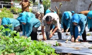 Gerakan Tanam Cabai Serentak, PKK Palopo Tekan Laju Inflasi