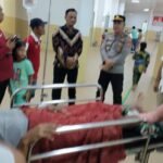 Warga di Palopo Diterkam Buaya Saat Mandi di Sungai