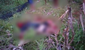 Kronologi Pembunuhan di Luwu Utara, Leher Korban Digorok hingga Tewas