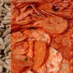 SNACK MARASA, Gudang Camilan Campuran Di Kota Palopo