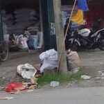 Warga Desa Patoloan Lutra Keluhkan Sampah Menumpuk hingga Timbulkan Aroma Busuk 