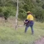 Perkumpulan Wallacea dan Walhi Sulsel Kecam Dugaan Pengrusakan Lahan Warga yang Dikawal Aparat