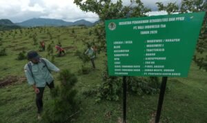 Dukung Rehabilitasi DAS, PT Vale Tanam 13,5 Juta Pohon di 17 Kabupaten se Sulsel