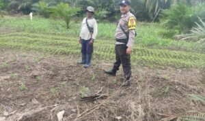 Polsek Bungku Barat Dorong Program Ketahanan Pangan di Desa Umpanga