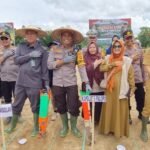 Kapolres Palopo Tanam Jagung Serentak di Mungkajang, Dukung Swasembada Pangan