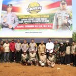 Bupati Luwu Timur Dampingi Kapolda Sulsel dalam Panen Perdana Jagung Program Ketahanan Pangan