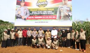 Bupati Luwu Timur Dampingi Kapolda Sulsel dalam Panen Perdana Jagung Program Ketahanan Pangan
