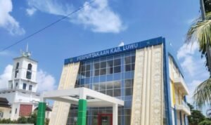 Dinas Perpustakaan Luwu Gencarkan Budaya Literasi Sejak Dini, Dorong Terbentuknya SDM Unggul