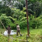 Jaga Estetika Kota, Satpol PP Luwu Timur Tertibkan Baliho Liar