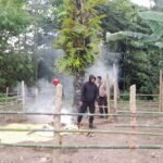 Polisi Bongkar Arena Sabung Ayam di Palopo, Pelaku Kabur Tinggalkan Lokasi