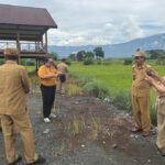 Direktur Pengadaan Lahan Kementan Tinjau Langsung Potensi Cetak Sawah 10.000 Ha di Luwu Timur
