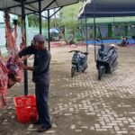 MIN 2 Aceh Timur Sembelih 6 Hewan Kurban pada Idul Adha 1446 H