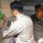 Tujuh THM di Mangkutana Disegel, Satpol PP Tegaskan Komitmen Jaga Ketertiban