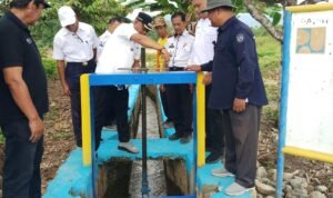 Bupati Luwu Gerak Cepat Pulihkan Irigasi, 1.000 Hektar Sawah di 6 Desa Kembali Terairi