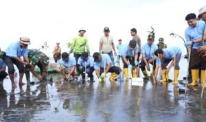 PT Taspen Palopo dan DLH Luwu Tanam 1.700 Pohon Mangrove di Pantai Mamunta Desa Seppong
