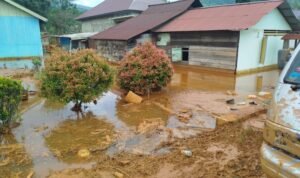 Gubernur Sulteng Hentikan Tambang PT BUMANIK Usai Banjir Parah di Molino