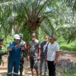 DLHK Aceh Timur Pantau Kualitas Udara di Panton Rayeuk T, Warga Dilaporkan Aman