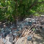 YLH Tana Merah Ajak Warga Bersih-bersih Pantai Pulau Buaya