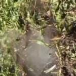 Mengapa Air Lambat Tiba Setelah Perbaikan Kerusakan? Ini Penjelasan Perumda TM Palopo