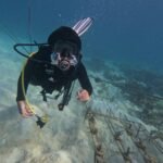 Menjaga Ekosistem Laut, IMIP Rehabilitasi Terumbu Karang di Sombori